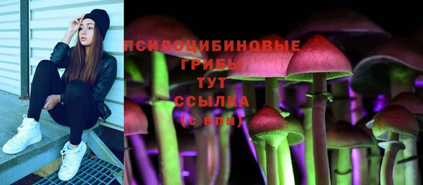 герыч Кулебаки