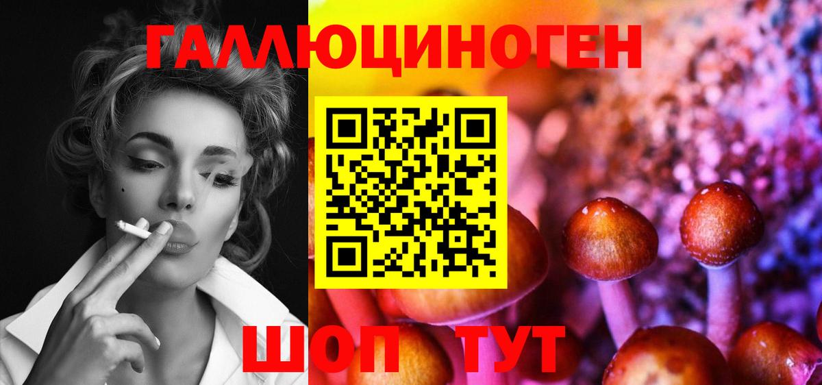 Псилоцибиновые грибы прущие грибы  Вход с VPN  Торжок 